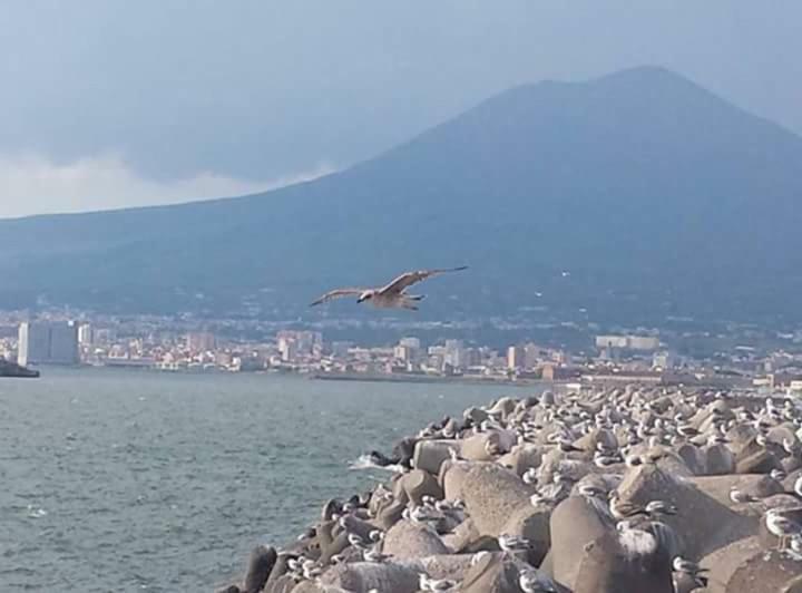 Casa Vacanza Nonna Antonietta Castellammare di Stabia Exterior foto